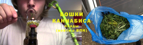 бошки Белокуриха