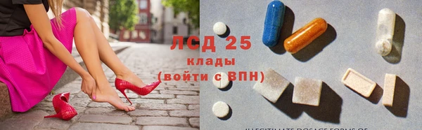 бошки Белокуриха