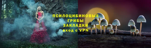 бошки Белокуриха