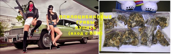 бошки Белокуриха