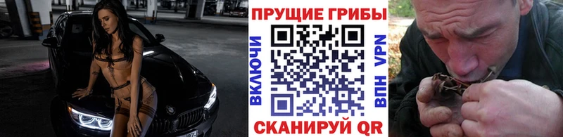 Галлюциногенные грибы Magic Shrooms  как найти наркотики  Новотитаровская 